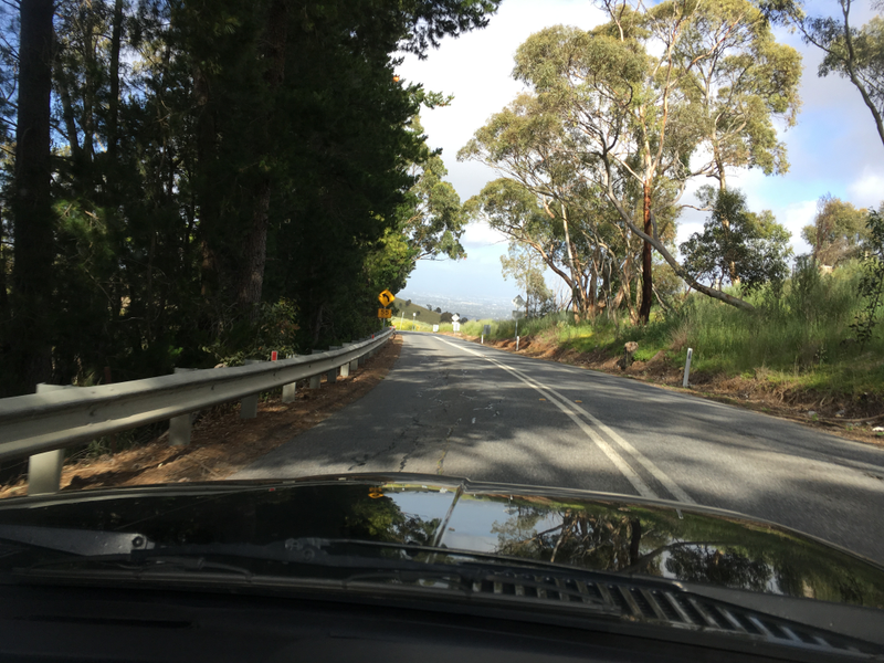 Illustration for article titled BMW 635CSi. Adelaide Hills. Springtime. Goodtime.